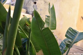 Gato Azul Coliving