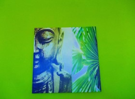 Dive Resort Ocean Dreams Tenerife