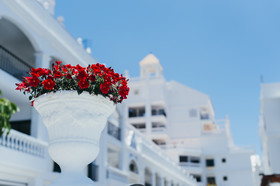 Ona Hollywood Mirage