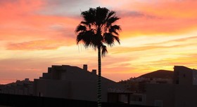 Ohasis Boutique Suites