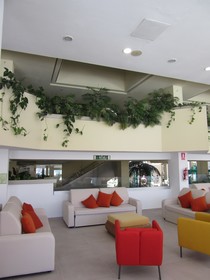 Paradise Park Fun Lifestyle Hotel