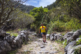 Coral Los Silos - Your Natural Accommodation Choice