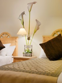 Green Garden Eco Resort