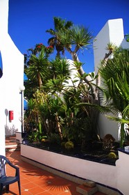 Playaflor Chill-Out Resort