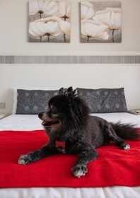 Pierre & Vacances Residence Marazul del Sur