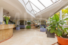 Apartamentos Pez Azul