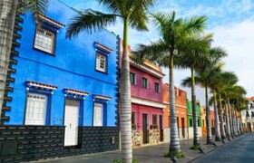 FERGUS Puerto de la Cruz