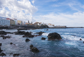 Checkin Concordia Playa