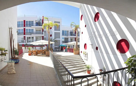 Arena Suites