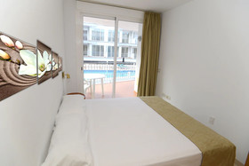 Arena Suites