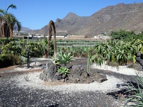 Finca Los Llanitos I