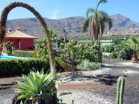 Finca Los Llanitos I