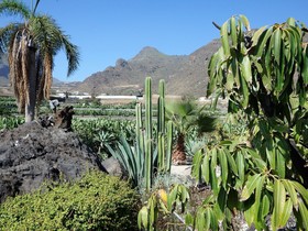 Finca Los Llanitos I