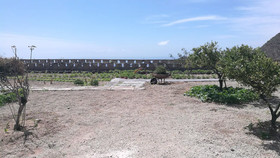 Emblema Suites