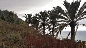 Casa Oasis Atlantico
