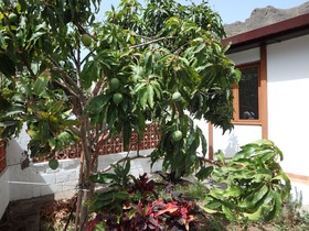 Casa Vera