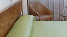 Hotel Adonis Pelinor