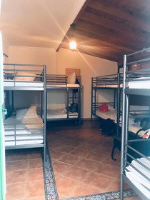 Arena Nest Hostel