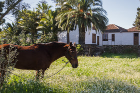 La Casona del Patio Hotel