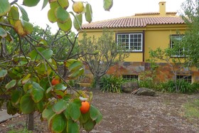 Villa Maria Tegueste