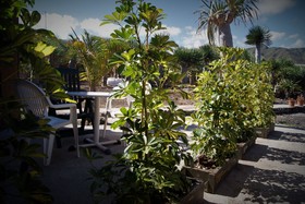 Agro-Camping Invernaderito