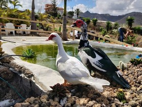 Agro-Camping Invernaderito