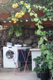 Agro-Camping Invernaderito