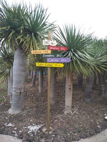 Agro-Camping Invernaderito