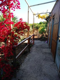 Agro-Camping Invernaderito