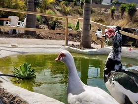 Agro-Camping Invernaderito