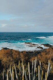 Boutique Eco Hotel Costa Mágica