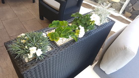 El Tejar Tenerife Activo