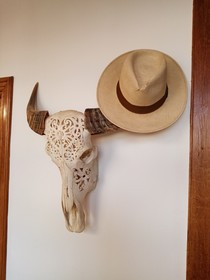 Ziggys retreat B & B