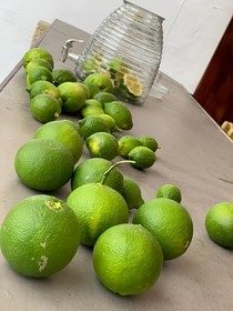 Ziggys retreat B & B