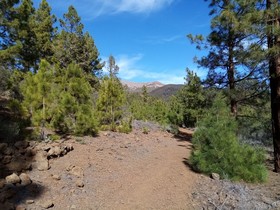 Ziggys retreat B & B