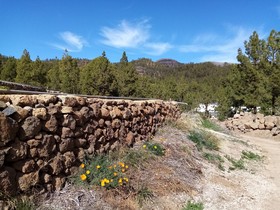 Ziggys retreat B & B