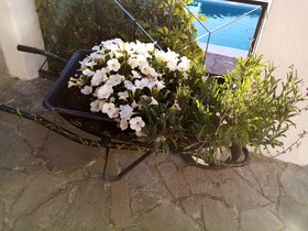 Ziggys retreat B & B