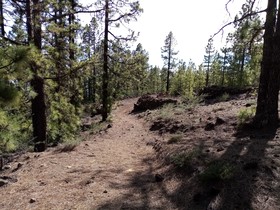 Ziggys retreat B & B