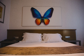 Hotel Mas Camarena