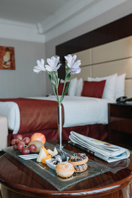 Golden Tulip Addis Ababa