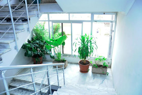 Ras Amba Hotel