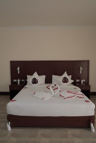 The Nest Hotel