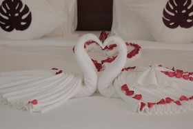 The Nest Hotel