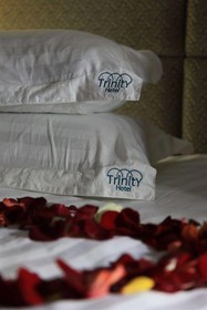 Trinity Hotel