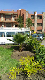 Zan-Seyoum Hotel