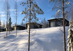 Bear Centre