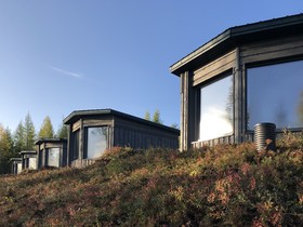 Bear Centre