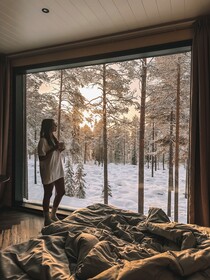 Invisible Forest Lodge