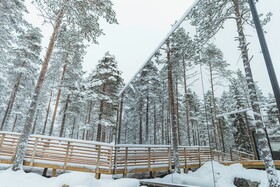 Invisible Forest Lodge