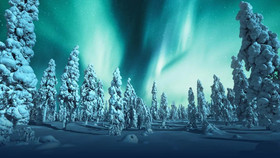 Santa's City Apartments